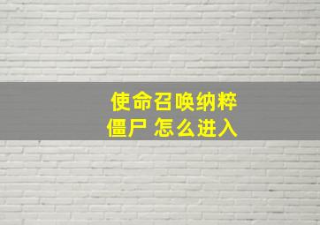 使命召唤纳粹僵尸 怎么进入